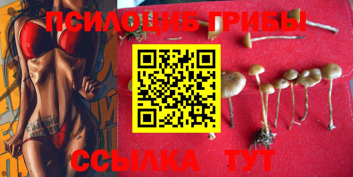 Глазов  цена наркотик  Вход с VPN  Псилоцибиновые грибы ЛСД 