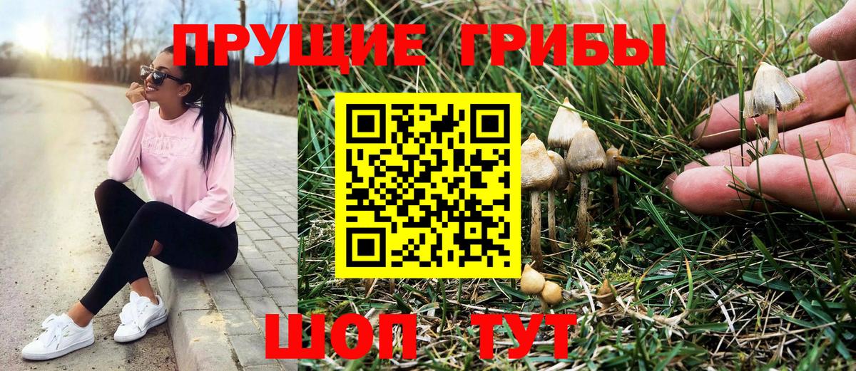 Псилоцибиновые грибы мухоморы Глазов